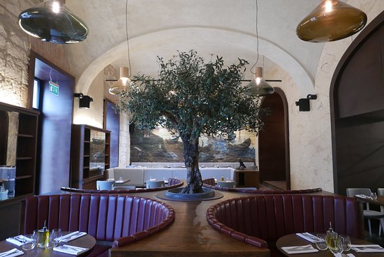 Red leather tub chairs in a restaurant with a large olive tree in the middle and high ceilings