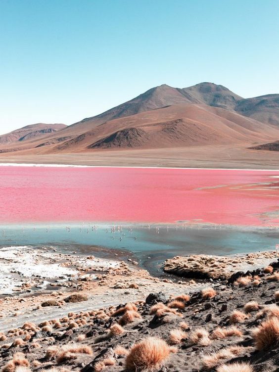 Pink lake in Bolivia
