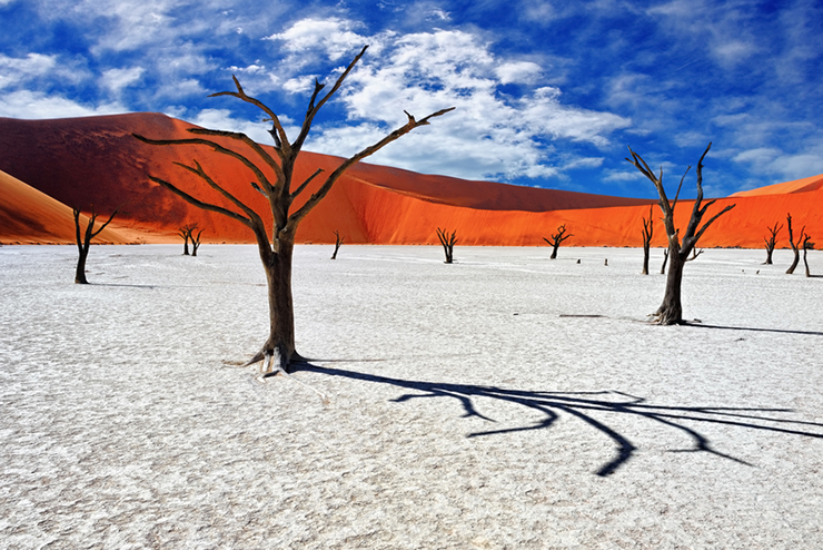 Deadvlei, Namibia. Southern Africa.