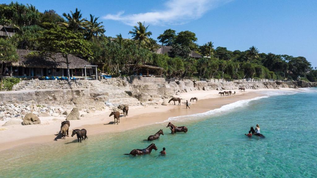 horses on the beach at Nihi Sumba in Indonesia