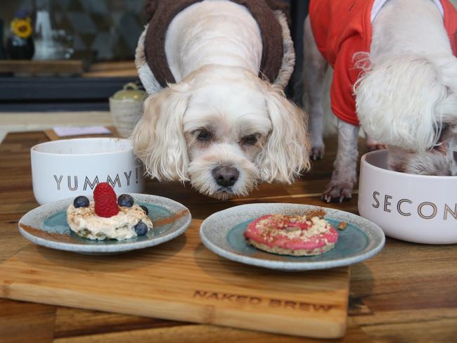 Cafés Associé aux animaux de compagnie à Sydney